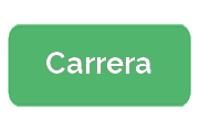 Ремонт квадрокоптеров Carrera